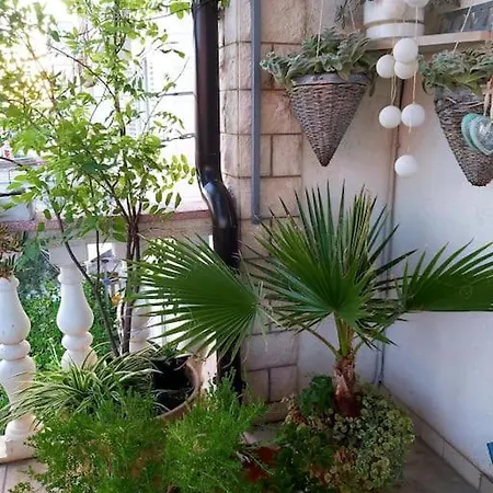 Lovely & Cosy With A Spacious Balcony Lejlighed Split
